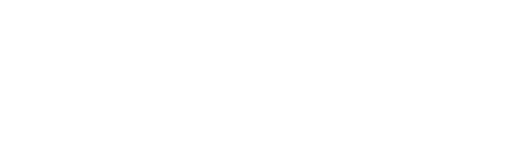 Anaimo Company Logo